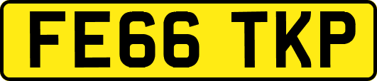 FE66TKP