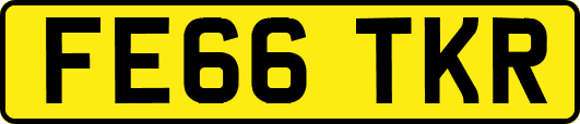 FE66TKR