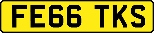 FE66TKS