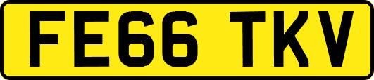 FE66TKV