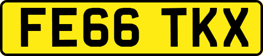 FE66TKX