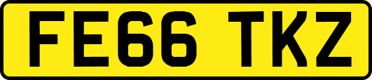 FE66TKZ