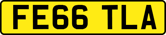 FE66TLA