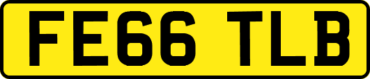 FE66TLB