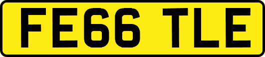 FE66TLE