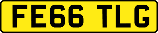 FE66TLG