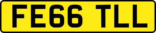 FE66TLL