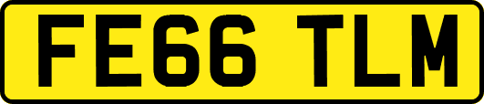 FE66TLM