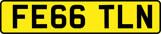 FE66TLN