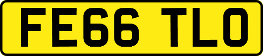 FE66TLO
