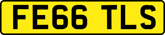 FE66TLS