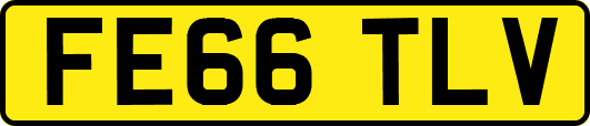 FE66TLV