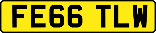 FE66TLW