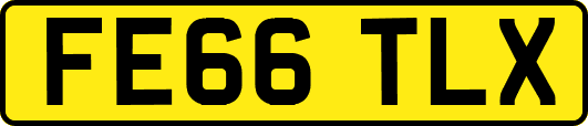 FE66TLX