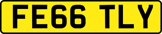 FE66TLY