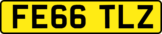 FE66TLZ