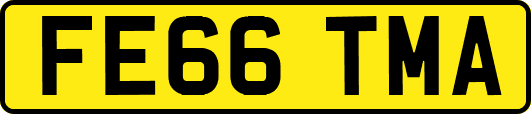FE66TMA