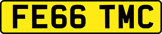 FE66TMC