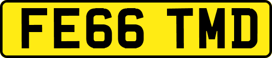 FE66TMD