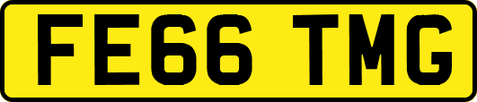 FE66TMG
