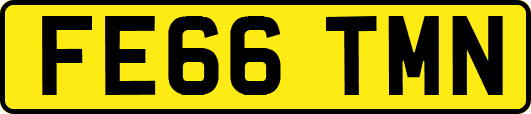 FE66TMN