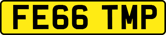 FE66TMP
