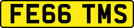FE66TMS