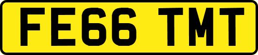 FE66TMT