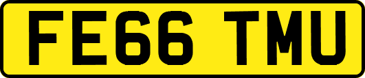 FE66TMU