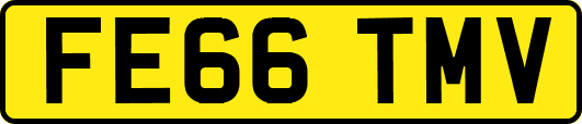 FE66TMV