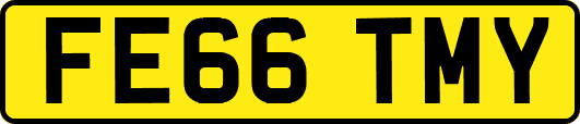 FE66TMY