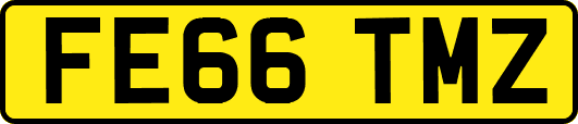 FE66TMZ