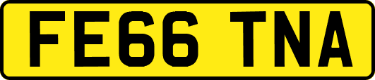 FE66TNA