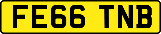FE66TNB