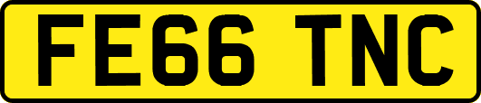 FE66TNC
