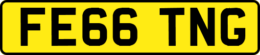 FE66TNG