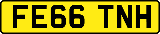 FE66TNH