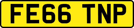 FE66TNP