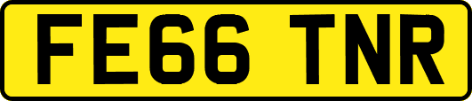 FE66TNR