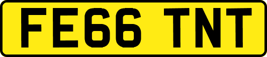 FE66TNT