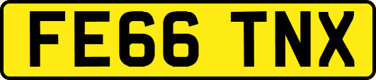 FE66TNX