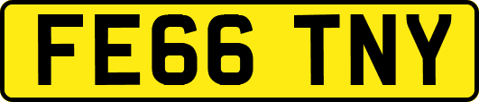 FE66TNY