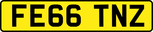 FE66TNZ