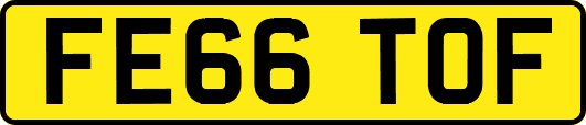 FE66TOF