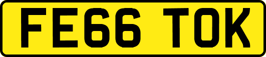 FE66TOK