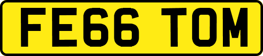 FE66TOM