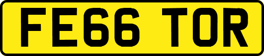 FE66TOR