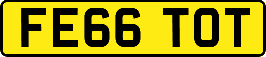 FE66TOT