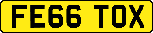 FE66TOX