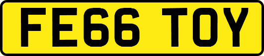 FE66TOY